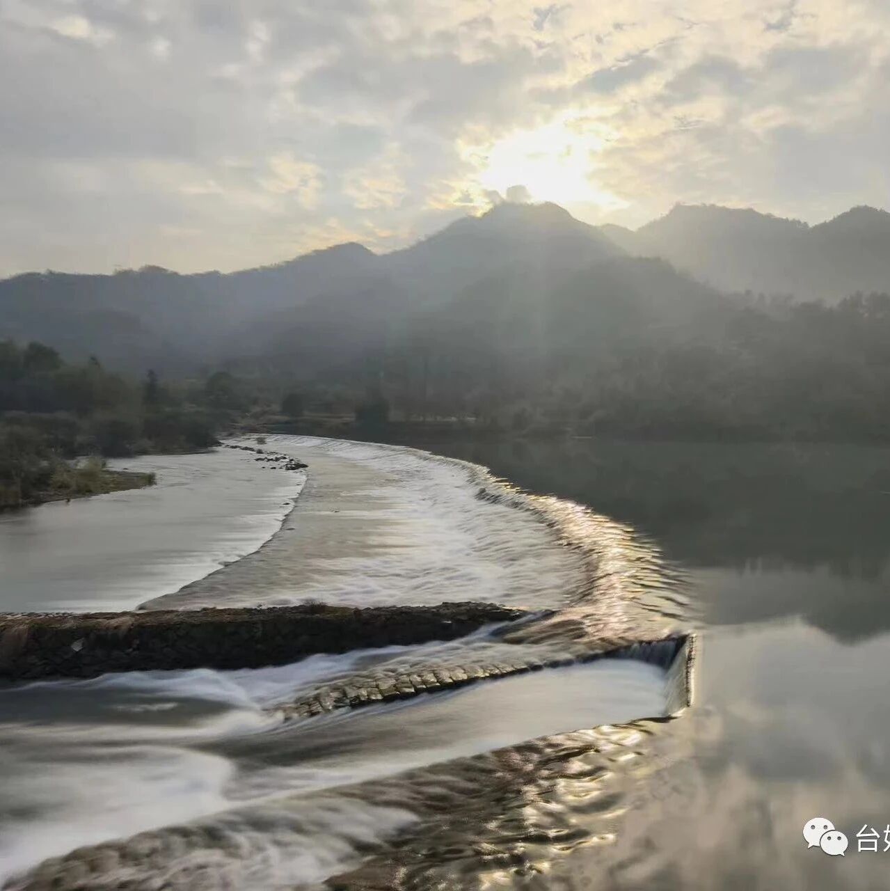 【麗水纓雲】台青友善福利