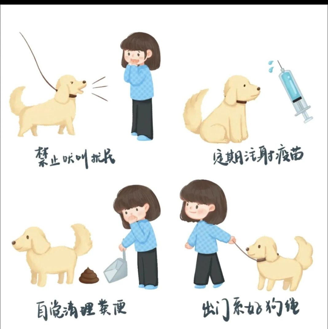 1月1日起,未牽繩犬隻傷人,最高罰1000元+拘10天,合規養犬刻不容緩!